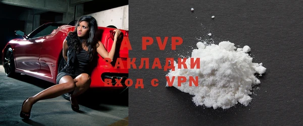 apvp Алзамай